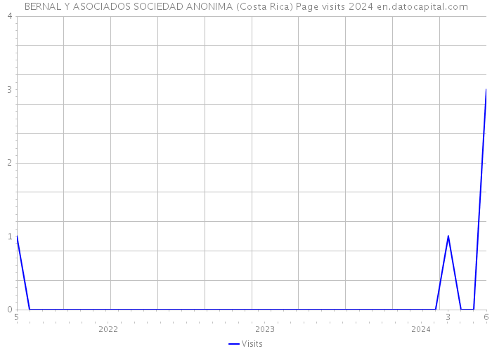 BERNAL Y ASOCIADOS SOCIEDAD ANONIMA (Costa Rica) Page visits 2024 