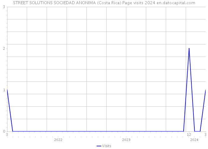 STREET SOLUTIONS SOCIEDAD ANONIMA (Costa Rica) Page visits 2024 