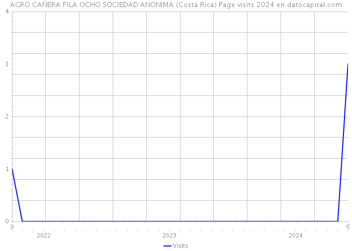 AGRO CAŃERA FILA OCHO SOCIEDAD ANONIMA (Costa Rica) Page visits 2024 