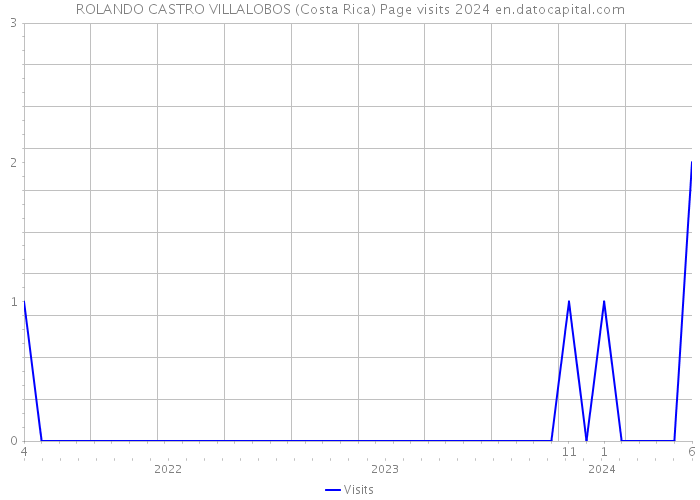 ROLANDO CASTRO VILLALOBOS (Costa Rica) Page visits 2024 