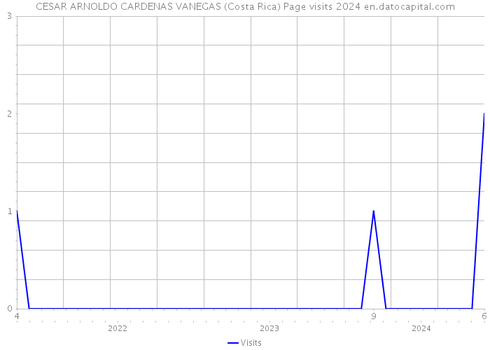CESAR ARNOLDO CARDENAS VANEGAS (Costa Rica) Page visits 2024 