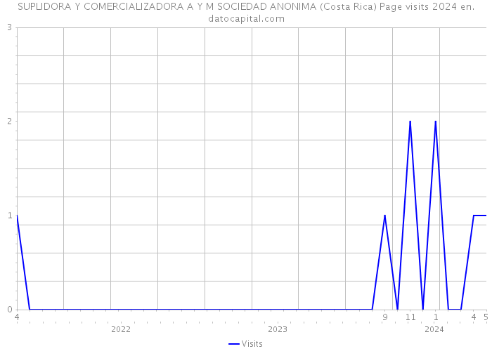 SUPLIDORA Y COMERCIALIZADORA A Y M SOCIEDAD ANONIMA (Costa Rica) Page visits 2024 