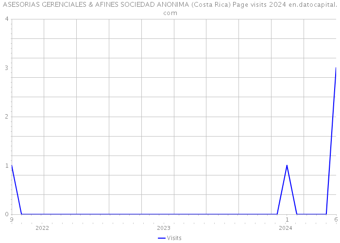 ASESORIAS GERENCIALES & AFINES SOCIEDAD ANONIMA (Costa Rica) Page visits 2024 
