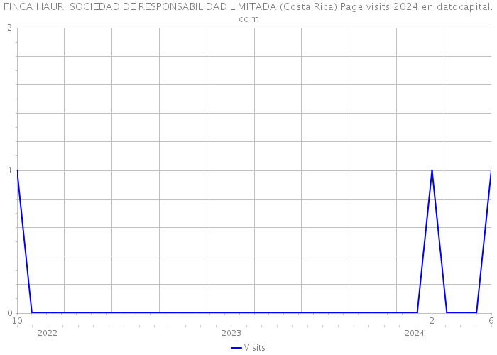 FINCA HAURI SOCIEDAD DE RESPONSABILIDAD LIMITADA (Costa Rica) Page visits 2024 