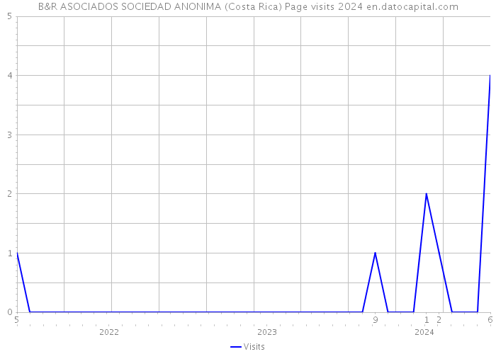 B&R ASOCIADOS SOCIEDAD ANONIMA (Costa Rica) Page visits 2024 