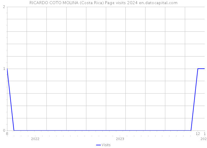 RICARDO COTO MOLINA (Costa Rica) Page visits 2024 