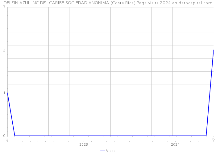 DELFIN AZUL INC DEL CARIBE SOCIEDAD ANONIMA (Costa Rica) Page visits 2024 