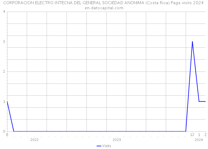 CORPORACION ELECTRO INTECNA DEL GENERAL SOCIEDAD ANONIMA (Costa Rica) Page visits 2024 