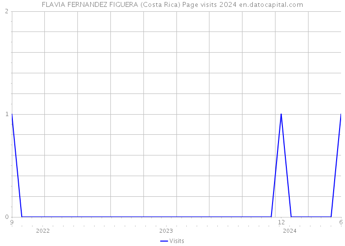 FLAVIA FERNANDEZ FIGUERA (Costa Rica) Page visits 2024 