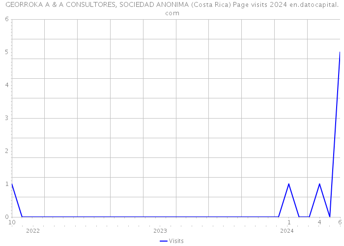 GEORROKA A & A CONSULTORES, SOCIEDAD ANONIMA (Costa Rica) Page visits 2024 