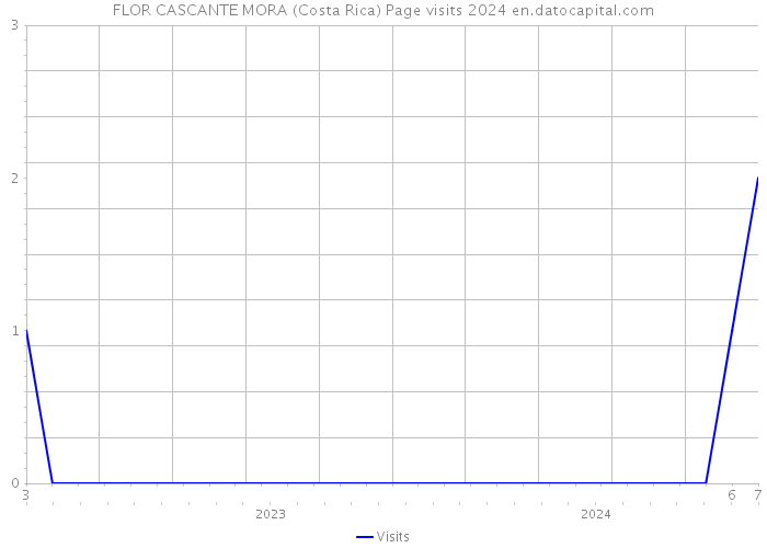 FLOR CASCANTE MORA (Costa Rica) Page visits 2024 