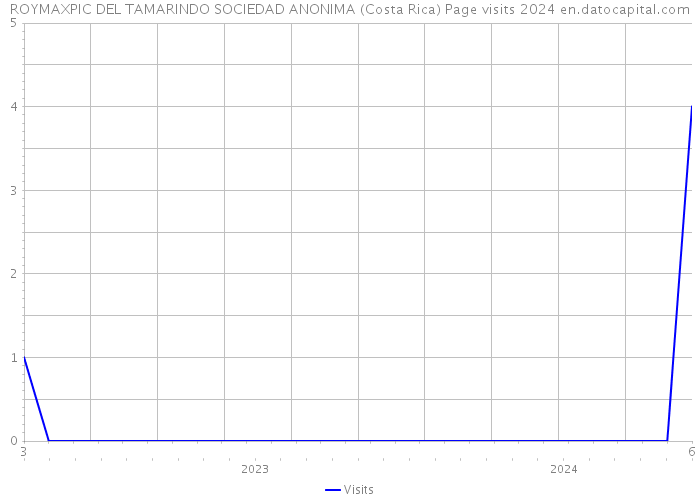 ROYMAXPIC DEL TAMARINDO SOCIEDAD ANONIMA (Costa Rica) Page visits 2024 