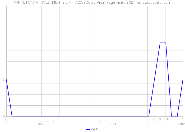 MINNETONKA INVESTMENTS LIMITADA (Costa Rica) Page visits 2024 