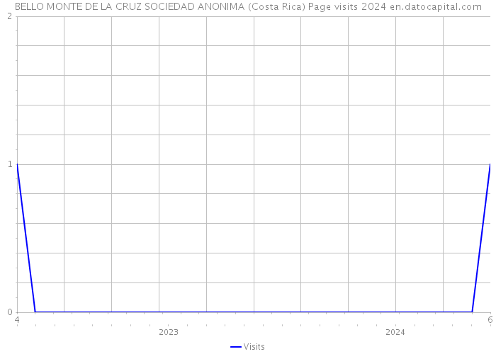 BELLO MONTE DE LA CRUZ SOCIEDAD ANONIMA (Costa Rica) Page visits 2024 