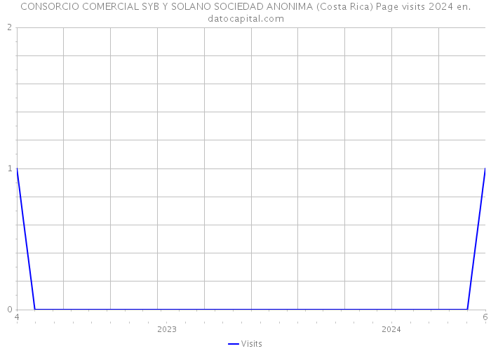 CONSORCIO COMERCIAL SYB Y SOLANO SOCIEDAD ANONIMA (Costa Rica) Page visits 2024 