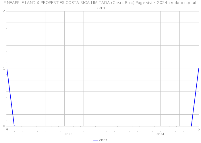 PINEAPPLE LAND & PROPERTIES COSTA RICA LIMITADA (Costa Rica) Page visits 2024 