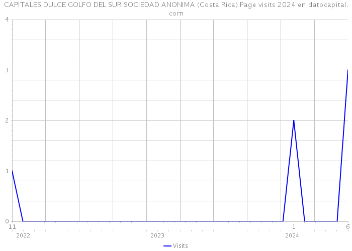 CAPITALES DULCE GOLFO DEL SUR SOCIEDAD ANONIMA (Costa Rica) Page visits 2024 