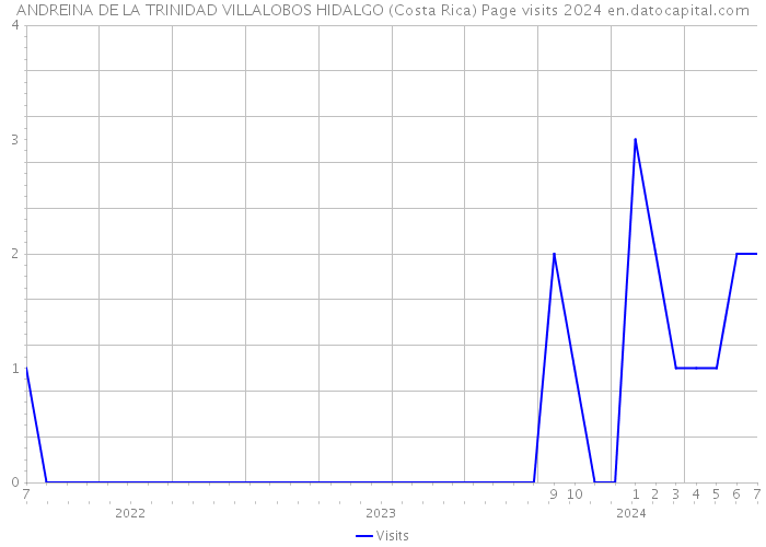 ANDREINA DE LA TRINIDAD VILLALOBOS HIDALGO (Costa Rica) Page visits 2024 