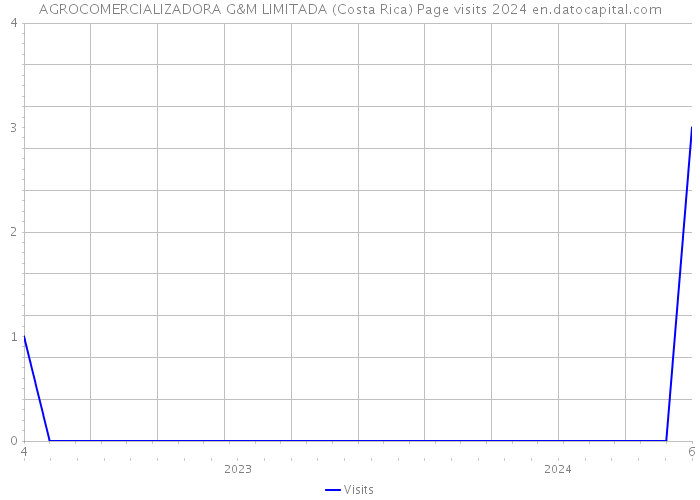 AGROCOMERCIALIZADORA G&M LIMITADA (Costa Rica) Page visits 2024 