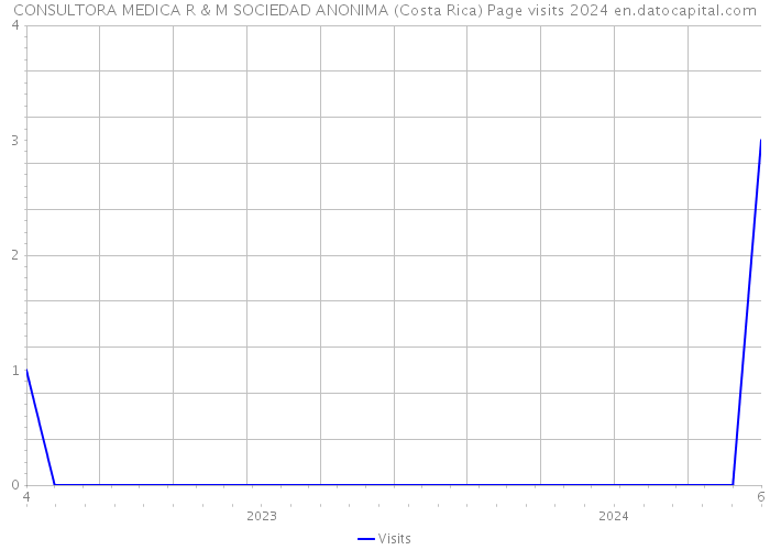 CONSULTORA MEDICA R & M SOCIEDAD ANONIMA (Costa Rica) Page visits 2024 