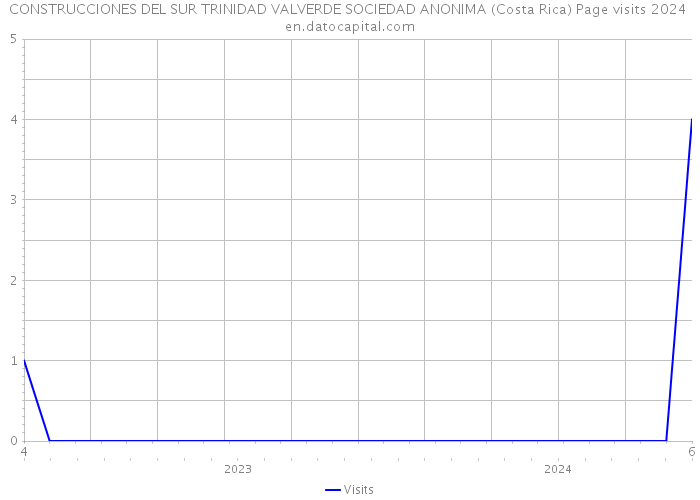 CONSTRUCCIONES DEL SUR TRINIDAD VALVERDE SOCIEDAD ANONIMA (Costa Rica) Page visits 2024 