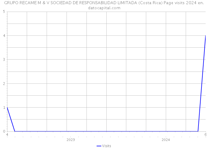 GRUPO RECAME M & V SOCIEDAD DE RESPONSABILIDAD LIMITADA (Costa Rica) Page visits 2024 