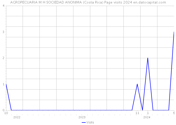 AGROPECUARIA M H SOCIEDAD ANONIMA (Costa Rica) Page visits 2024 