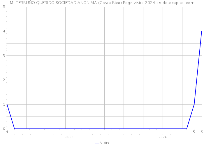 MI TERRUŃO QUERIDO SOCIEDAD ANONIMA (Costa Rica) Page visits 2024 