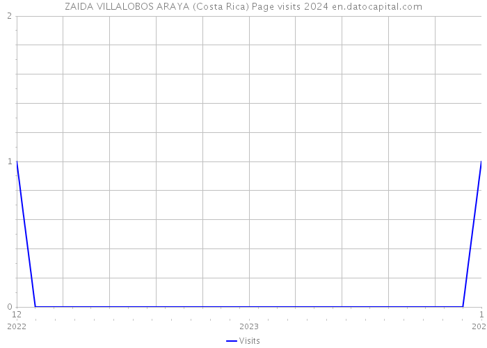 ZAIDA VILLALOBOS ARAYA (Costa Rica) Page visits 2024 