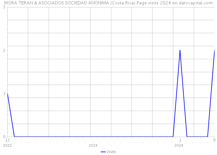 MORA TERAN & ASOCIADOS SOCIEDAD ANONIMA (Costa Rica) Page visits 2024 