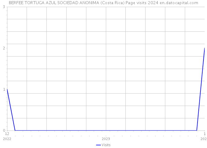 BERFEE TORTUGA AZUL SOCIEDAD ANONIMA (Costa Rica) Page visits 2024 