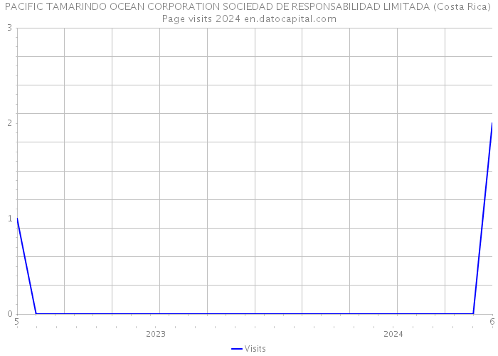 PACIFIC TAMARINDO OCEAN CORPORATION SOCIEDAD DE RESPONSABILIDAD LIMITADA (Costa Rica) Page visits 2024 