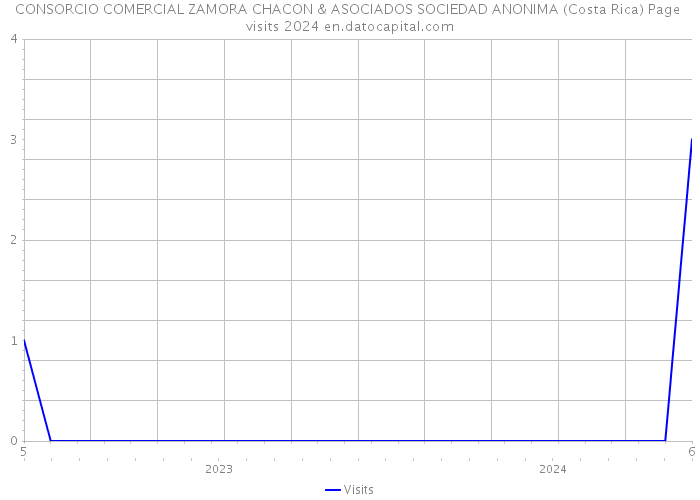 CONSORCIO COMERCIAL ZAMORA CHACON & ASOCIADOS SOCIEDAD ANONIMA (Costa Rica) Page visits 2024 