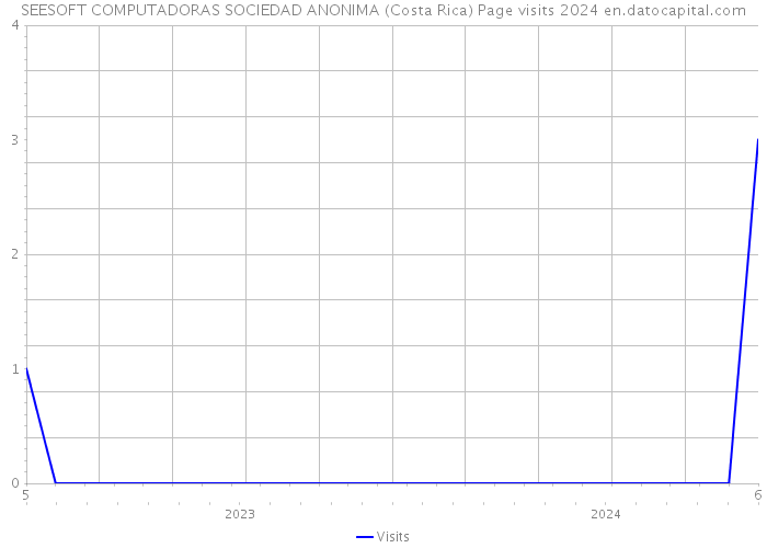 SEESOFT COMPUTADORAS SOCIEDAD ANONIMA (Costa Rica) Page visits 2024 