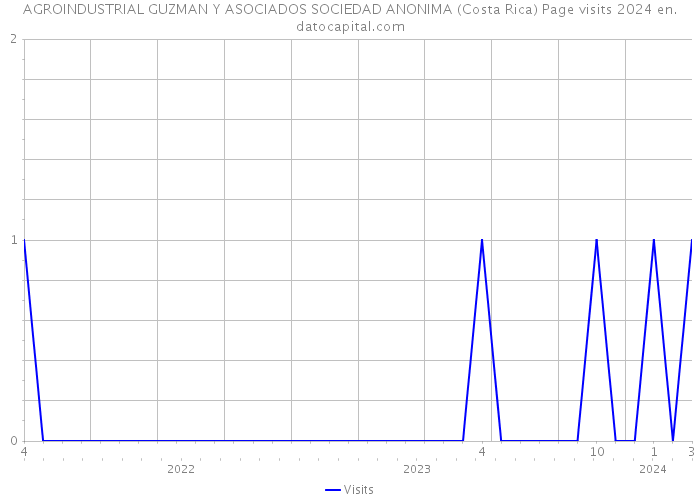 AGROINDUSTRIAL GUZMAN Y ASOCIADOS SOCIEDAD ANONIMA (Costa Rica) Page visits 2024 