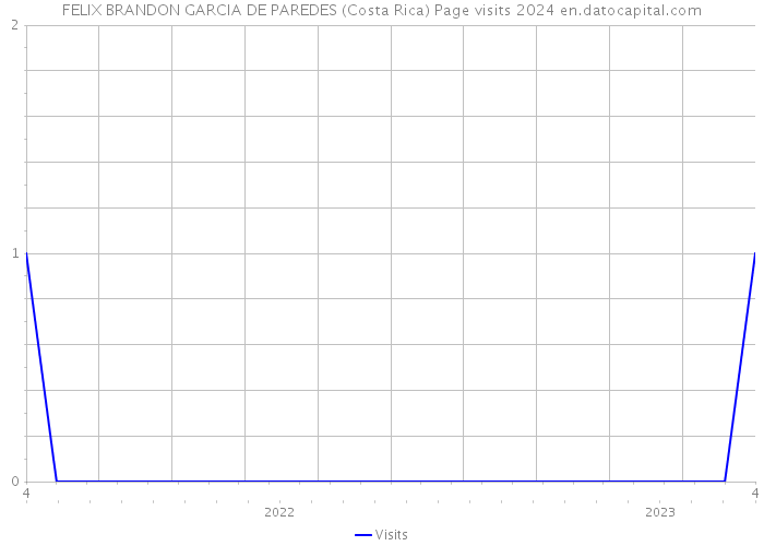 FELIX BRANDON GARCIA DE PAREDES (Costa Rica) Page visits 2024 