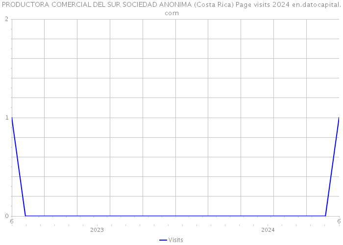 PRODUCTORA COMERCIAL DEL SUR SOCIEDAD ANONIMA (Costa Rica) Page visits 2024 