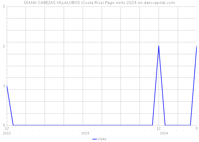 DIANA CABEZAS VILLALOBOS (Costa Rica) Page visits 2024 