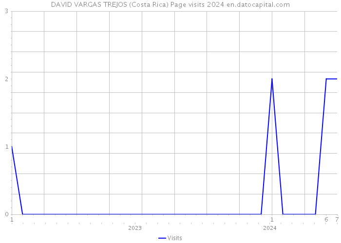 DAVID VARGAS TREJOS (Costa Rica) Page visits 2024 