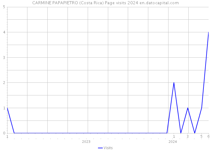 CARMINE PAPAPIETRO (Costa Rica) Page visits 2024 