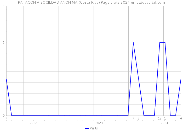 PATAGONIA SOCIEDAD ANONIMA (Costa Rica) Page visits 2024 