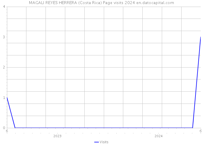 MAGALI REYES HERRERA (Costa Rica) Page visits 2024 