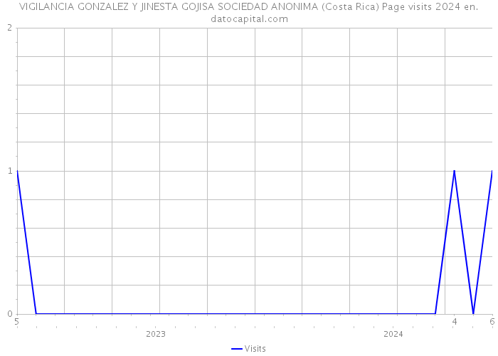 VIGILANCIA GONZALEZ Y JINESTA GOJISA SOCIEDAD ANONIMA (Costa Rica) Page visits 2024 