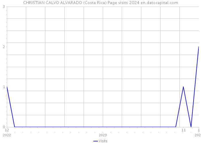 CHRISTIAN CALVO ALVARADO (Costa Rica) Page visits 2024 