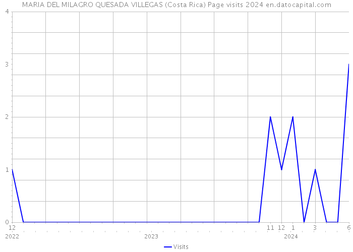 MARIA DEL MILAGRO QUESADA VILLEGAS (Costa Rica) Page visits 2024 