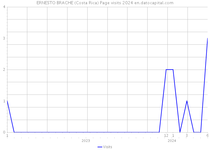 ERNESTO BRACHE (Costa Rica) Page visits 2024 