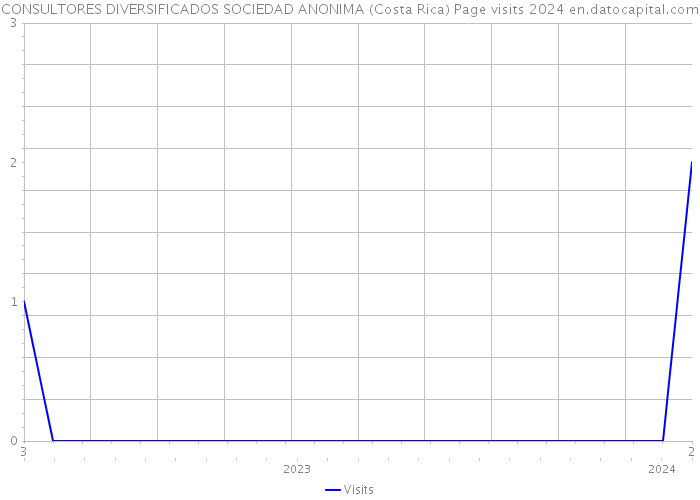 CONSULTORES DIVERSIFICADOS SOCIEDAD ANONIMA (Costa Rica) Page visits 2024 