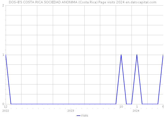 DOS-B'S COSTA RICA SOCIEDAD ANONIMA (Costa Rica) Page visits 2024 