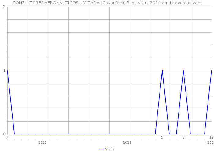 CONSULTORES AERONAUTICOS LIMITADA (Costa Rica) Page visits 2024 