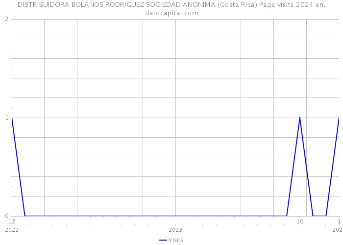 DISTRIBUIDORA BOLAŃOS RODRIGUEZ SOCIEDAD ANONIMA (Costa Rica) Page visits 2024 